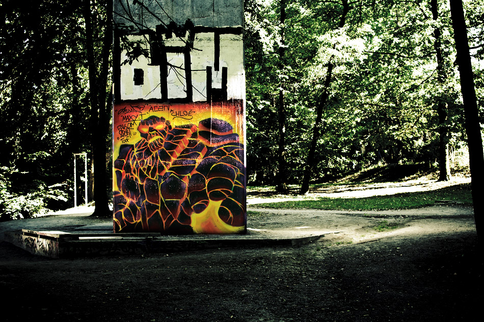 Picture