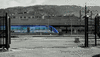 Silver-Blue train