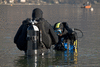 Scuba divers